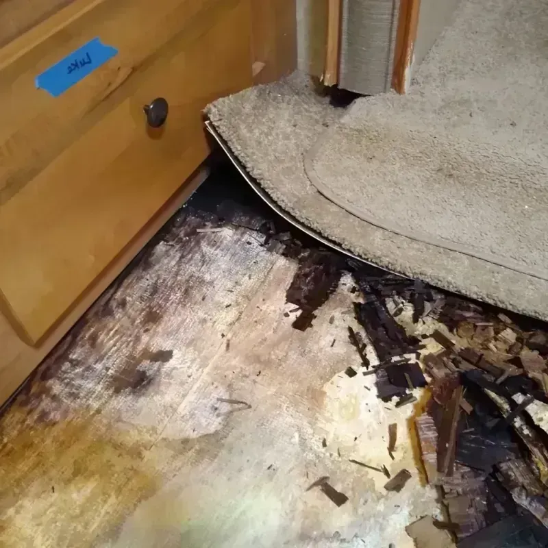 Best Wood Floor Water Damage Service in Bethesda, MD